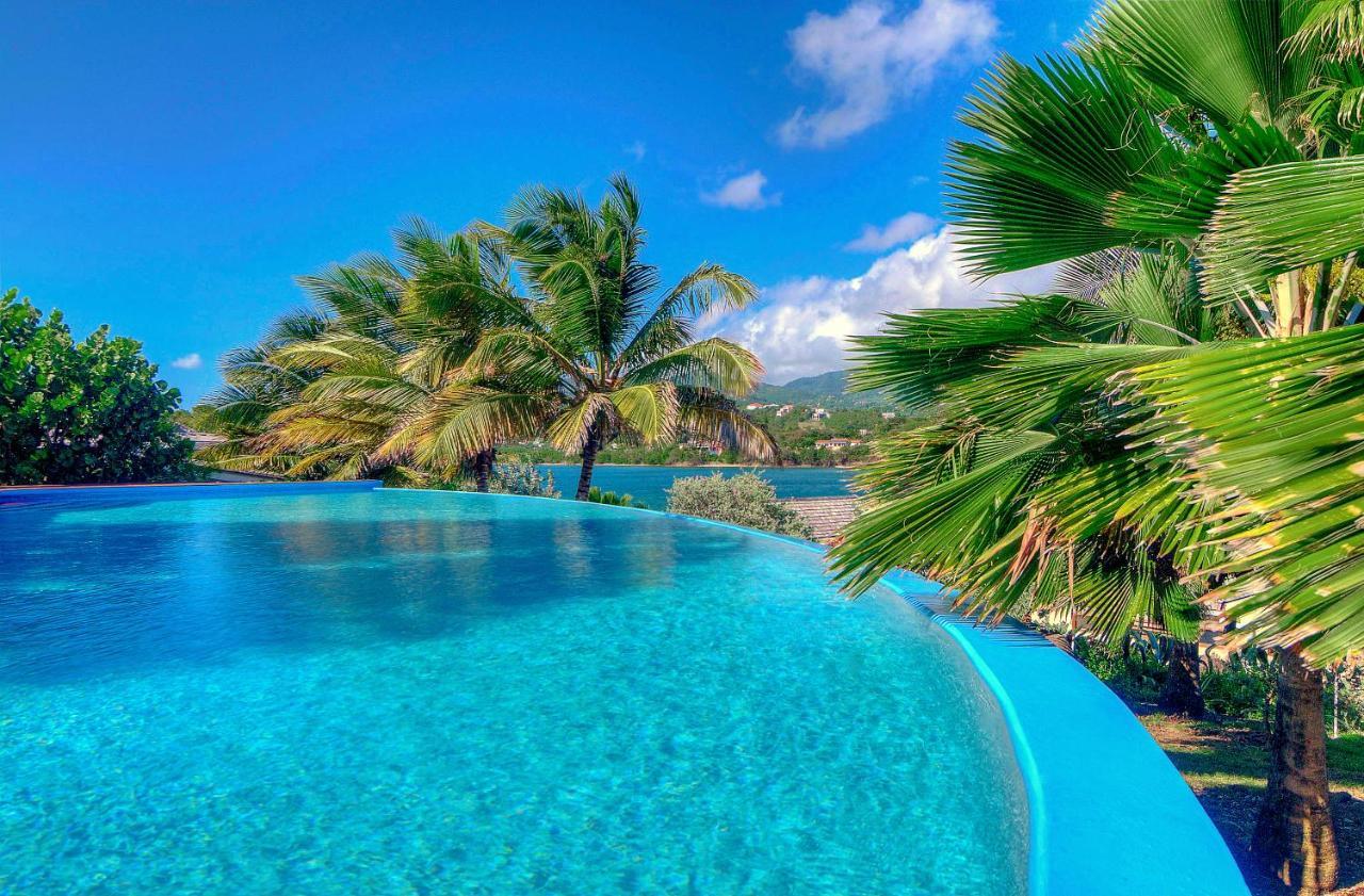 473 Grenada Boutique Resort St. George's Esterno foto