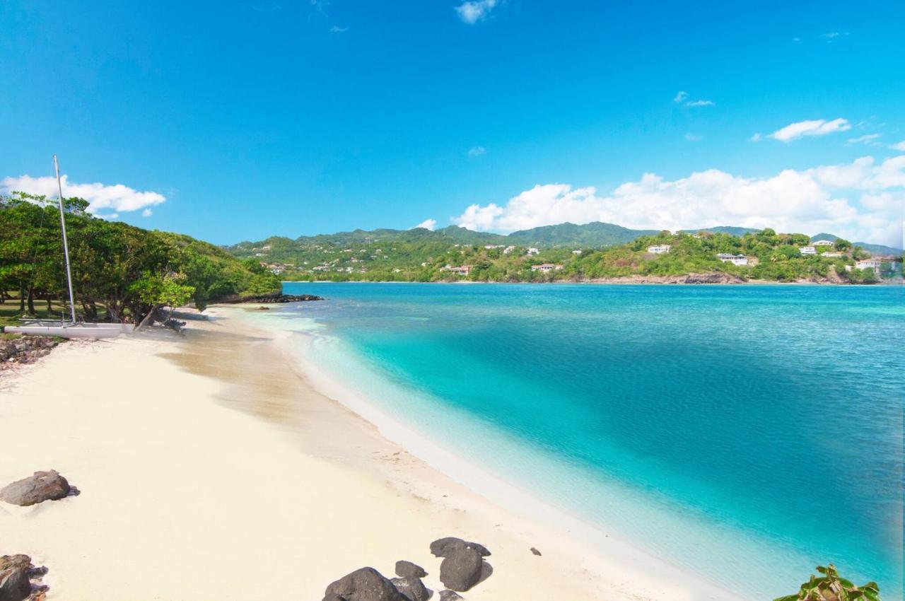 473 Grenada Boutique Resort St. George's Esterno foto