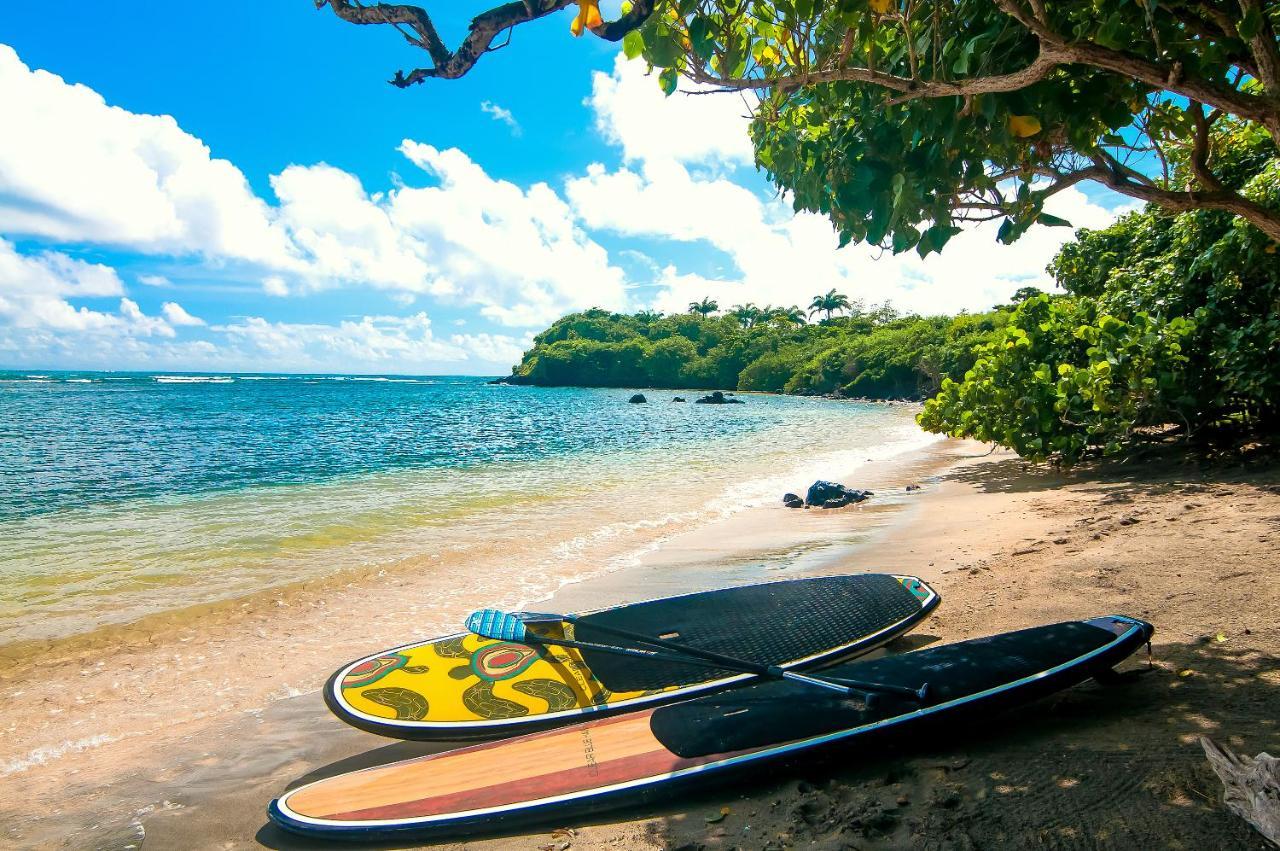 473 Grenada Boutique Resort St. George's Esterno foto