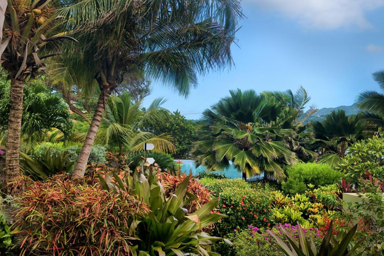 473 Grenada Boutique Resort St. George's Esterno foto